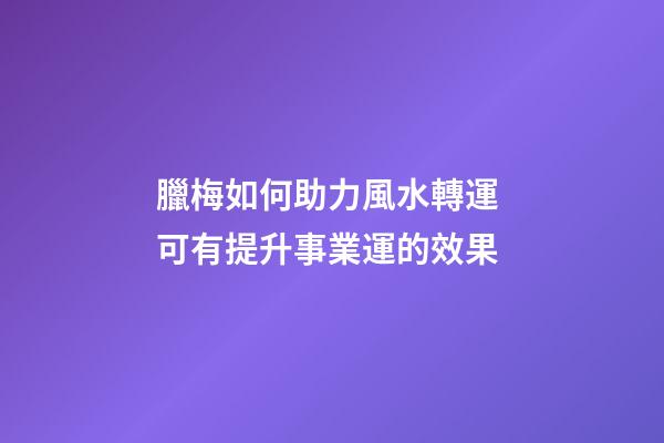 臘梅如何助力風水轉運 可有提升事業運的效果